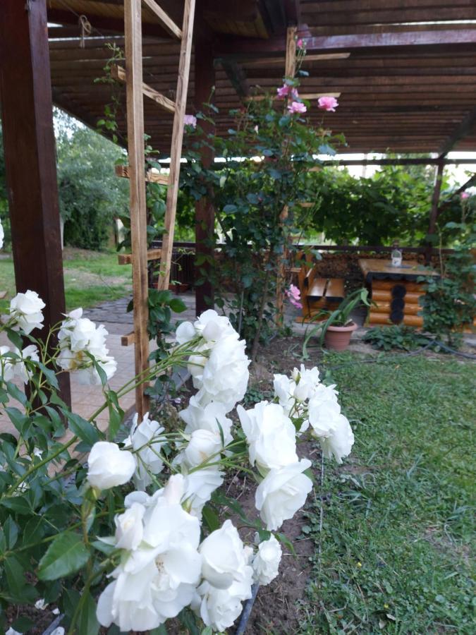 Bed and Breakfast Kolpinghaus à Caransebeş Extérieur photo