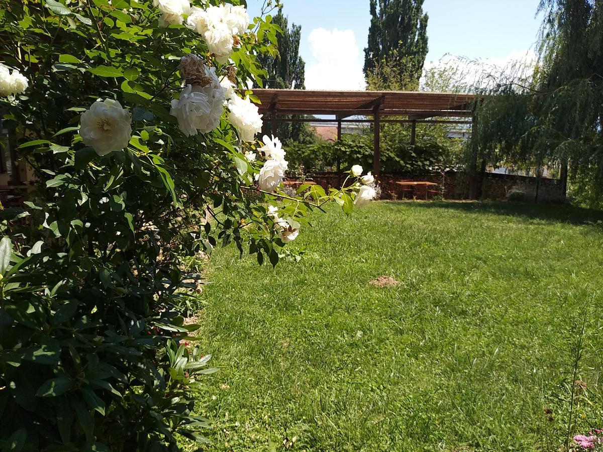 Bed and Breakfast Kolpinghaus à Caransebeş Extérieur photo